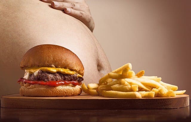 Causas-multifactoriales-de-la-obesidad