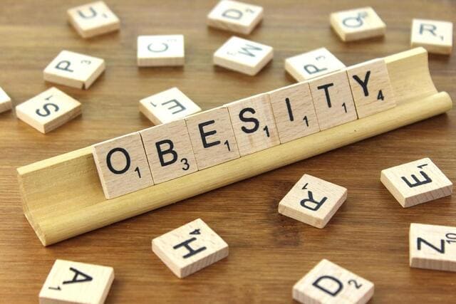 factores-de-riesgo-de-la-obesidad