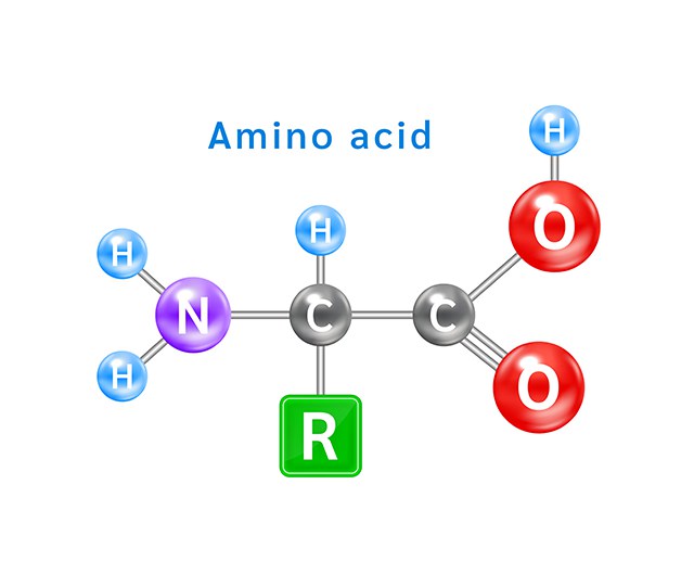 Formula-quimica-estructural-de-aminoacidos-Retos