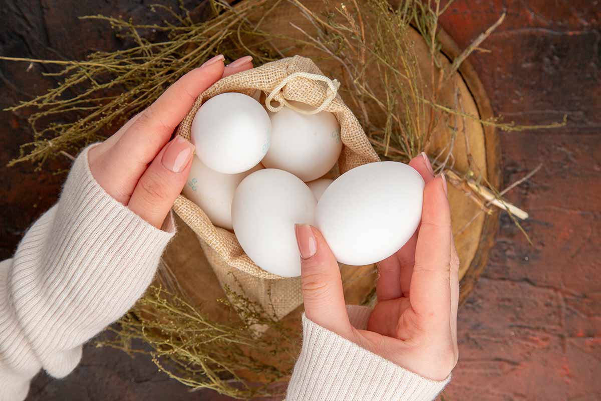 10 cosas que debes saber sobre la proteína en los huevos