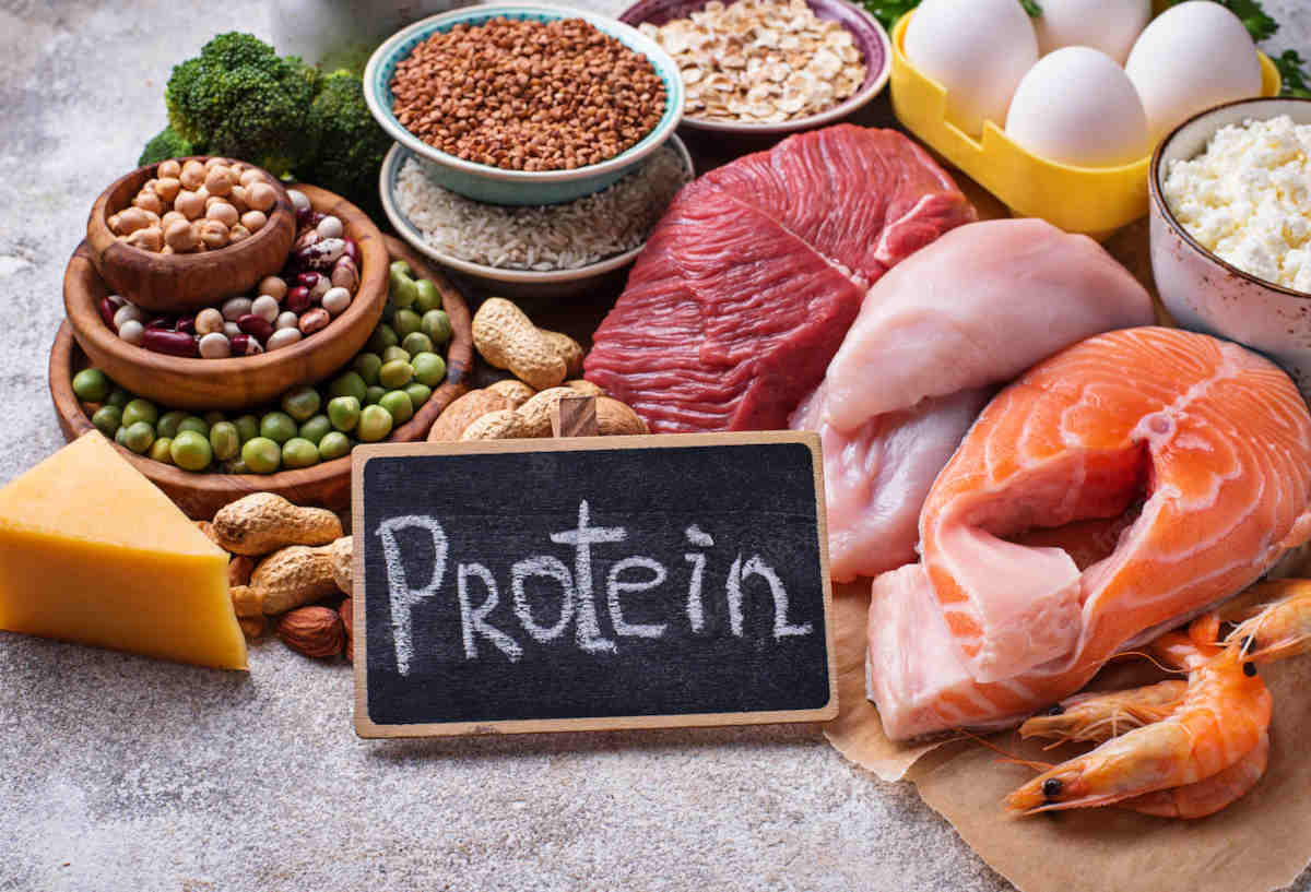Cómo afecta la composición de las proteínas a tu salud - Retos
