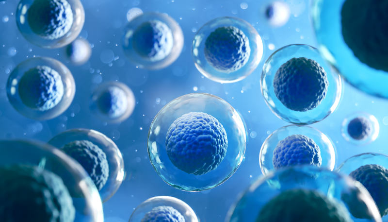 Importancia de la síntesis de proteínas para el funcionamiento celular - Retos
