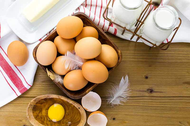 La-yema-de-huevo-contiene-casi-la-mitad-de-todas-las-proteinas-del-huevo-Retos